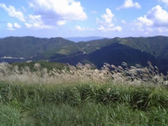 上山高原エコミュージアム
