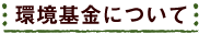 環境基金について