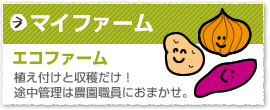 マイファーム