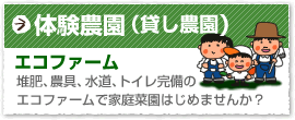 体験農園（貸し農園）