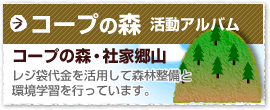 コープの森・社家郷山　活動アルバム