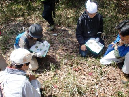 ボランティア定例活動(2014.4.19)の写真