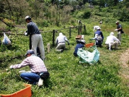 活動名:にしのみや都市型里山ボランティア育成セミナー<第2回>の写真