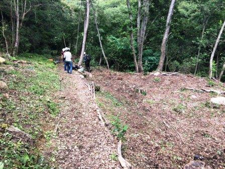 活動名:ボランティア定例活動(2014.8.24)の写真