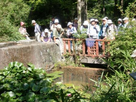 活動名:にしのみや都市型里山ボランティア育成セミナー<語り部・第4回>の写真