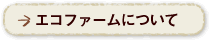 エコファームについて