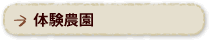 体験農園