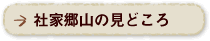 社家郷山の見どころ
