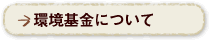環境基金について