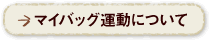 マイバッグ運動について