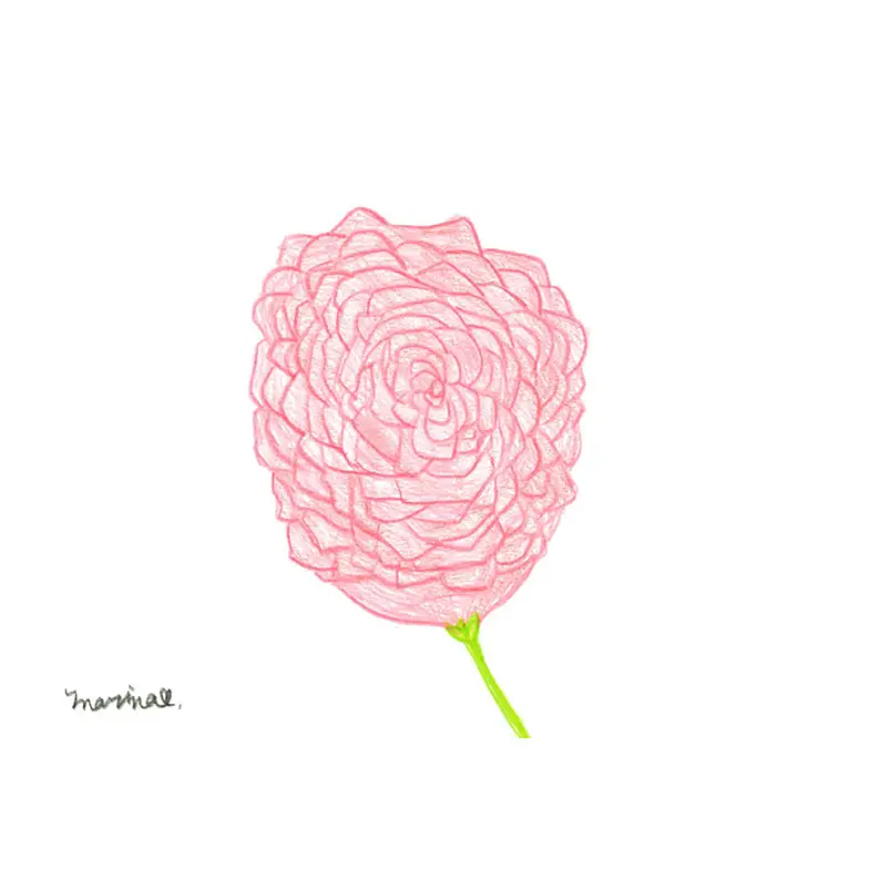 作品